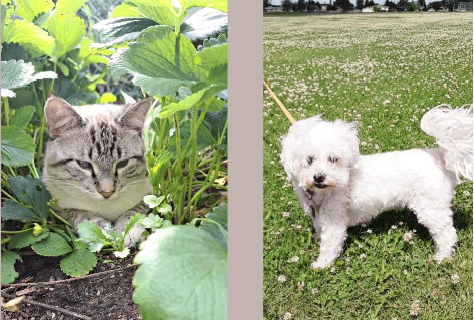 Relax and Refresh Wellness