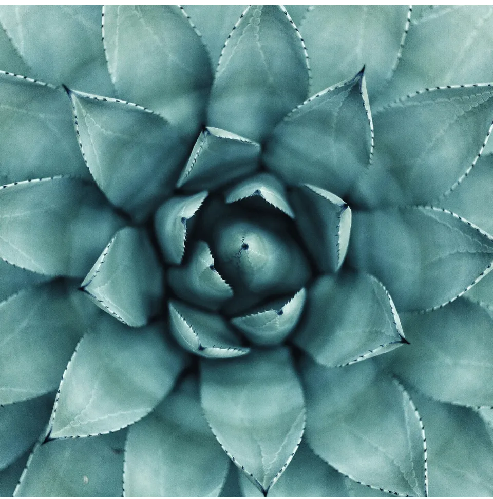 Relax and Refresh Wellness