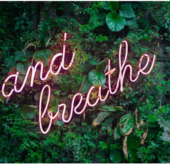 Relax and Refresh Wellness